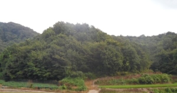 전북특별자치도 진안군 성수면 좌산리 OOO 임야 경매 물건 이미지