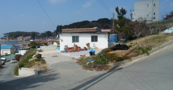 전라남도 완도군 노화읍 고막리 OOO O OOO 대지 경매 물건 이미지