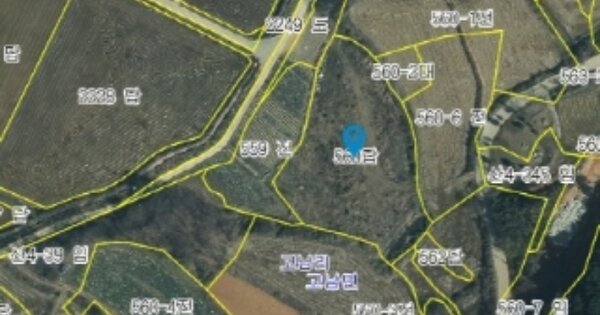 충청남도 태안군 고남면 고남리 OOO 답 경매 물건 이미지