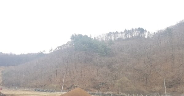강원특별자치도 홍천군 내면 율전리 OOOOOO 임야 경매 물건 이미지