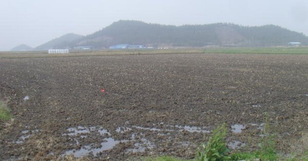전라남도 해남군 해남읍 내사리 OOOOOO 답 경매 물건 이미지