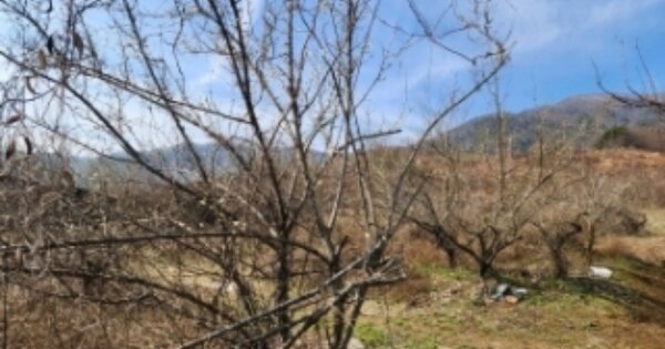 전라남도 순천시 월등면 신월리 OOO 전 경매 물건 이미지
