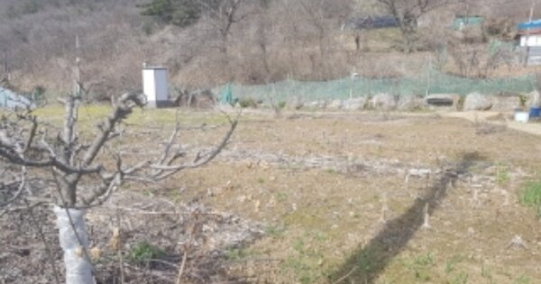 강원특별자치도 춘천시 남산면 백양리 OOO O OOO 대지 경매 물건 이미지