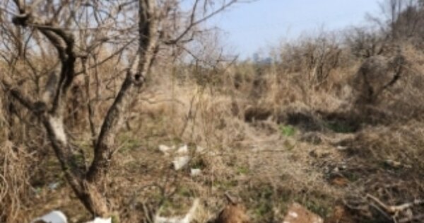 전라남도 순천시 해룡면 호두리 O O OOO 전 경매 물건 이미지