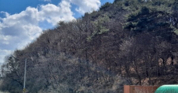충청남도 서산시 성연면 갈현리 OOOOO 임야 경매 물건 이미지