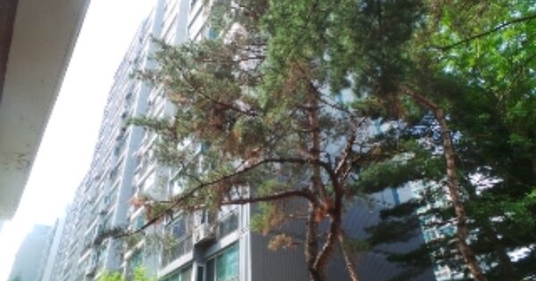 강원특별자치도 춘천시 퇴계동 916-2, 103동 OO OOOO OOOOO OOOOOOOOOO 아파트 경매 물건 이미지