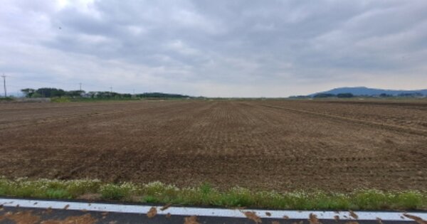 충청남도 서산시 석남동 OOOOO 답 경매 물건 이미지