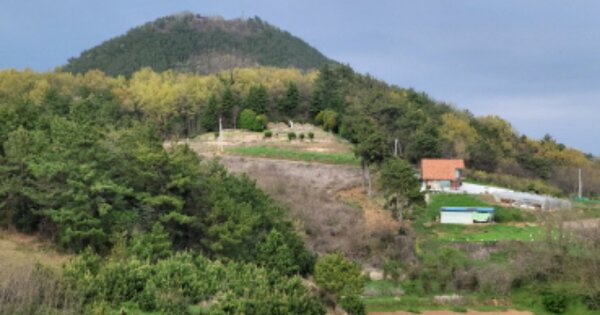 전라남도 고흥군 도양읍 봉암리 OOOO 전 경매 물건 이미지