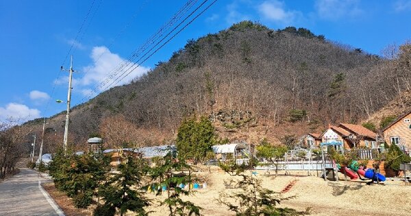 충청북도 보은군 내북면 신궁리 OOOOO 임야 경매 물건 이미지