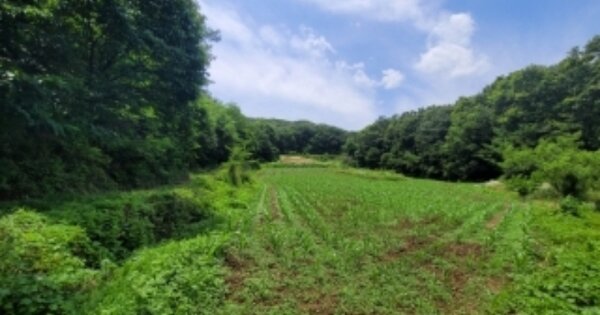 충청북도 청주시 흥덕구 옥산면 장동리 OOO O OOO 전 경매 물건 이미지
