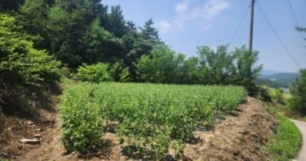 충청북도 청주시 서원구 현도면 우록리 OOOO O OOO 전 경매 물건 이미지