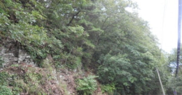 충청북도 진천군 초평면 화산리 OOOOO 임야 경매 물건 이미지