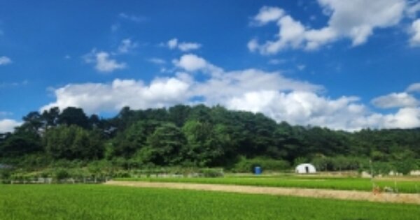충청북도 청주시 상당구 가덕면 계산리 OOO 임야 경매 물건 이미지