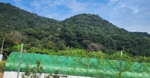 충청북도 청주시 상당구 문의면 도원리 OOOO 임야 경매 물건 이미지