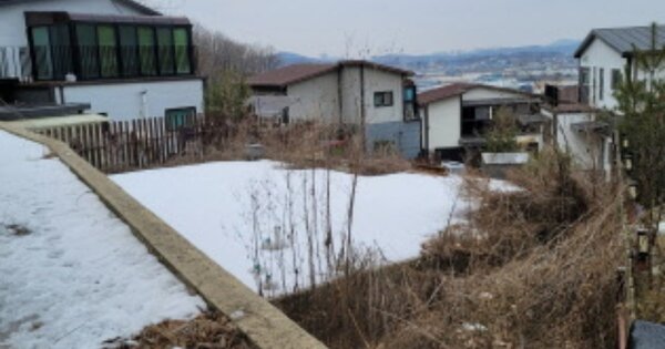 경기도 파주시 조리읍 뇌조리 OOOOOO 임야 경매 물건 이미지