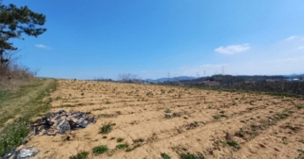 전라남도 영광군 법성면 삼당리 OOOOO 전 경매 물건 이미지