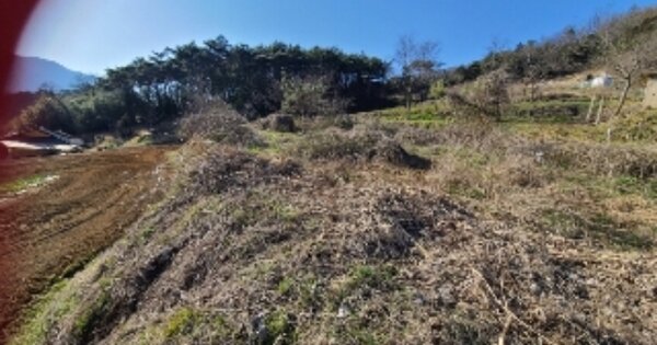 전라남도 장성군 삼계면 수산리 OO 전 경매 물건 이미지