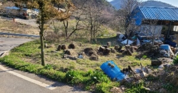 전라남도 장성군 삼계면 수산리 OO 대지 경매 물건 이미지