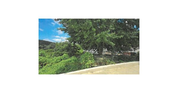 전라남도 장성군 삼계면 수산리 OOO 대지 경매 물건 이미지