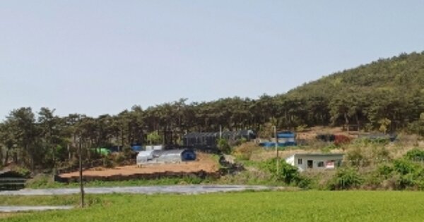 전라남도 영광군 법성면 용성리 OOO 임야 경매 물건 이미지