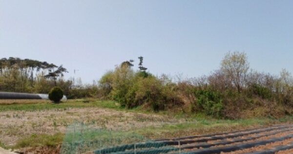전라남도 영광군 법성면 화천리 OOOOO 임야 경매 물건 이미지