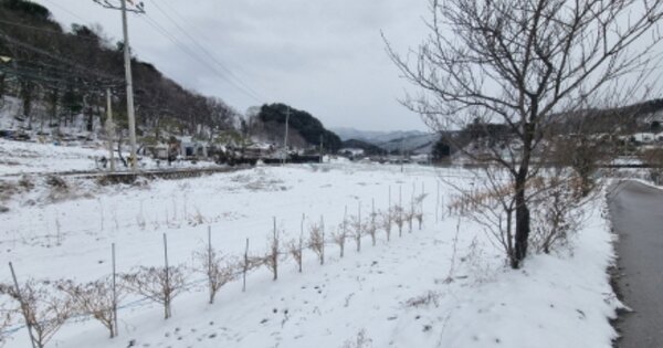 경기도 가평군 상면 항사리 OOOOO 답 경매 물건 이미지