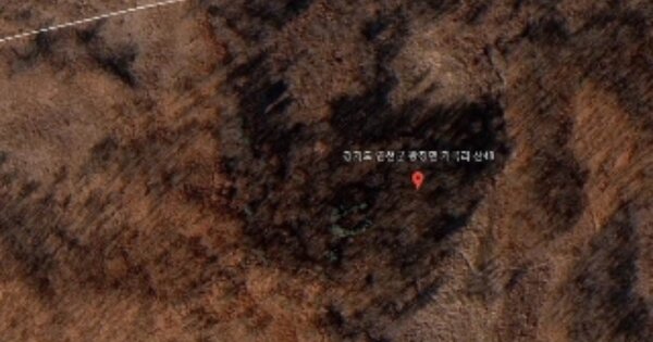 경기도 연천군 왕징면 기곡리 OOO 임야 경매 물건 이미지