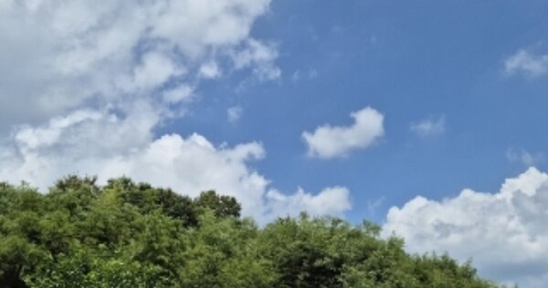 전라남도 장성군 북일면 성산리 OOOO 임야 경매 물건 이미지