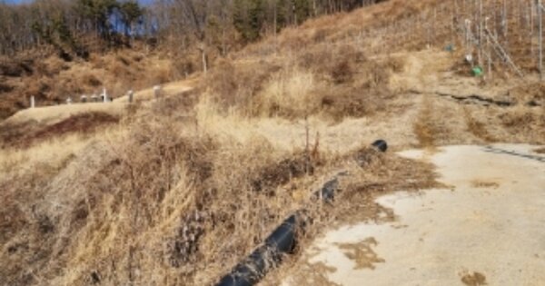 경상북도 안동시 길안면 대곡리 OOOOOO O OOO 전 경매 물건 이미지