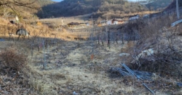 경상북도 안동시 길안면 대곡리 OOOOOO 답 경매 물건 이미지