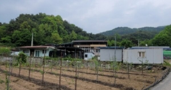 경상북도 봉화군 상운면 신라리 OOO 대지 경매 물건 이미지