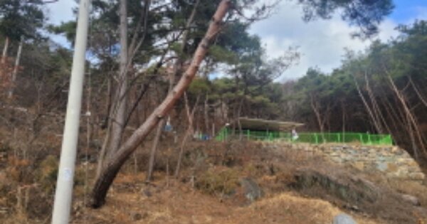 경상북도 청도군 이서면 수야리 OOOO 임야 경매 물건 이미지