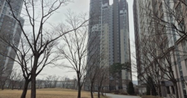 세종특별자치시 한솔동 974, 612동 OOOOOOOO OOOOOOOOOOOO 아파트 경매 물건 이미지