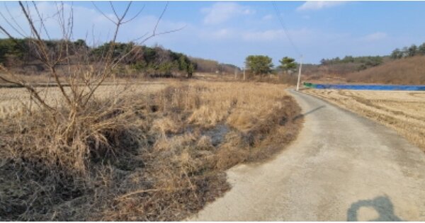 경상북도 영천시 북안면 송포리 OO 답 경매 물건 이미지