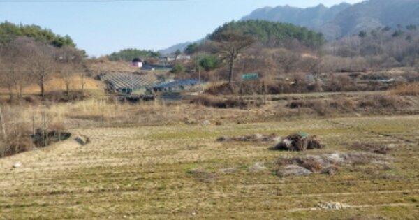 충남 금산군 금산읍 양지리 OOOOO O OOO 단독주택 경매 물건 이미지