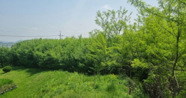 충청남도 천안시 동남구 성남면 석곡리 OOOOO 전 경매 물건 이미지