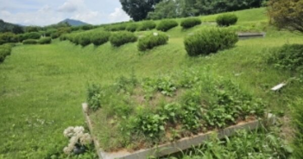 충청남도 천안시 동남구 풍세면 용정리 OOOOO 전 경매 물건 이미지