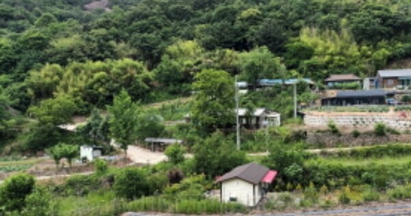 충청남도 금산군 제원면 천내리 OO 대지 경매 물건 이미지