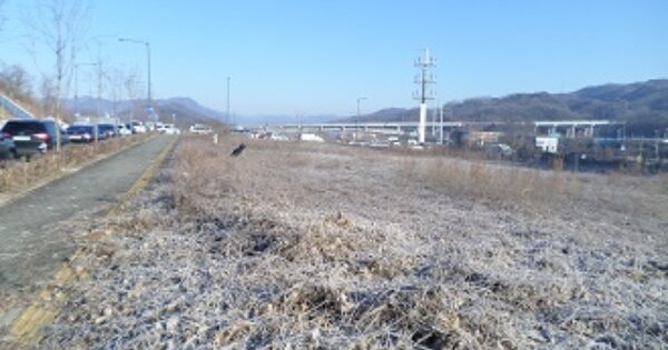 강원특별자치도 원주시 지정면 신평리 OOOOOO 대지 경매 물건 이미지