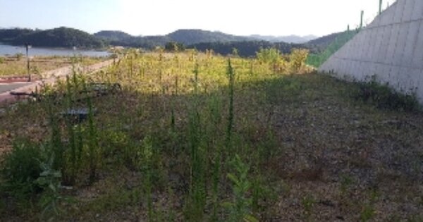 경상남도 고성군 마암면 보전리 OOOO O OOOO 대지 경매 물건 이미지
