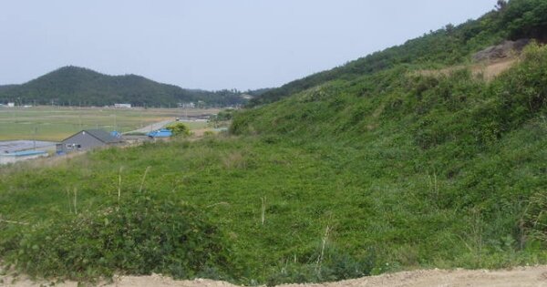 전라남도 진도군 의신면 만길리 OOO 전 경매 물건 이미지