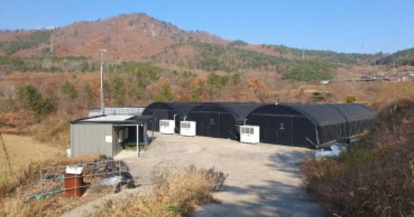 전라남도 장흥군 장흥읍 금산리 OOO 답 경매 물건 이미지