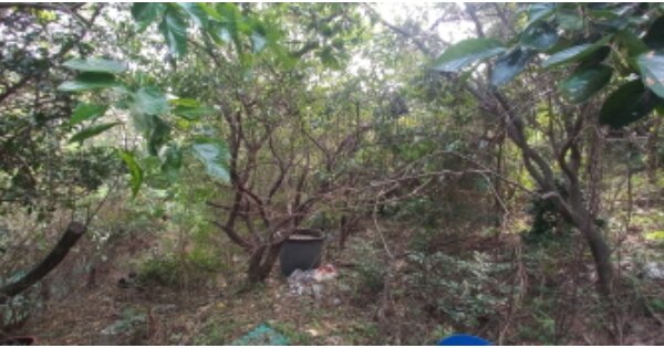 경상남도 거제시 능포동 OOOOO O OOO 답 경매 물건 이미지