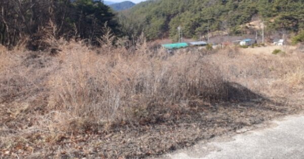 경상북도 성주군 수륜면 송계리 OOO 답 경매 물건 이미지