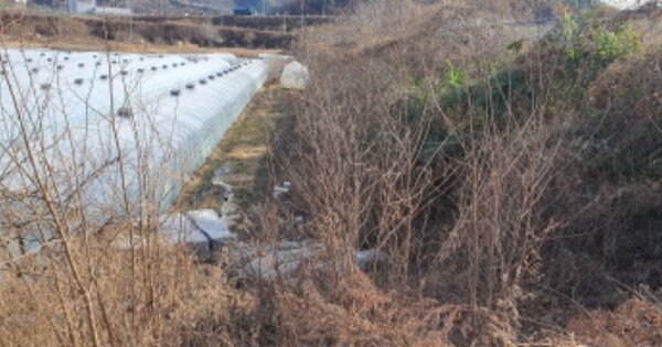 경상북도 성주군 성주읍 성산리 OOOOO 전 경매 물건 이미지