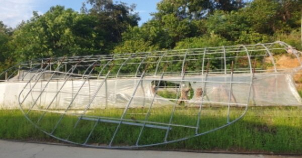 전라남도 고흥군 금산면 석정리 OOOOO 전 경매 물건 이미지