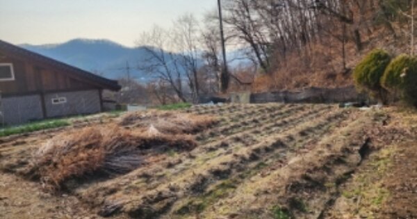경기도 광주시 초월읍 학동리 OOOOO O OOO 답 경매 물건 이미지