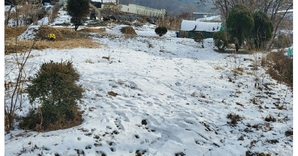 경기도 남양주시 와부읍 도곡리 OOO O OOO 전 경매 물건 이미지