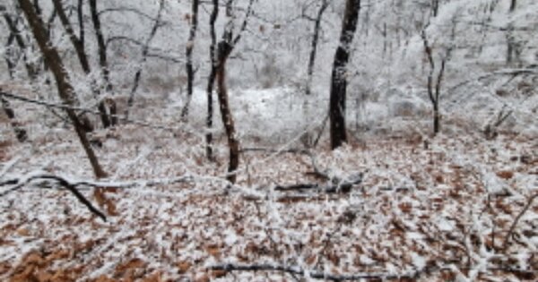 경기도 오산시 금암동 OOOOO 임야 경매 물건 이미지