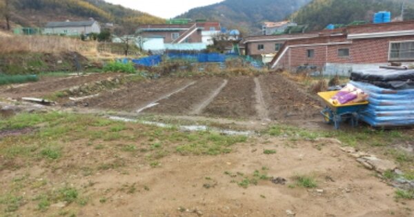 경상남도 거제시 장목면 장목리 OOOO 답 경매 물건 이미지
